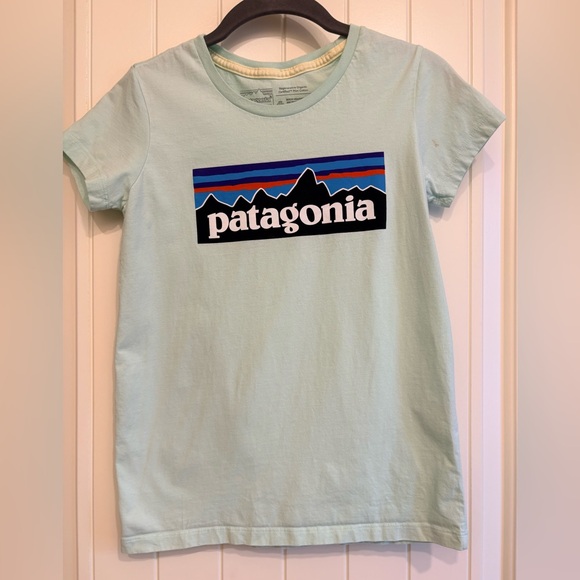 Patagonia Other - Patagonia Kids Youth XL 14 Graphic T Shirt Organic Cotton Light Green
